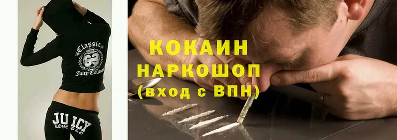 где можно купить   Дубовка  Cocaine 98% 